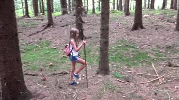 Gyermek séta az erdőben, Gyerek a hegyekben, Lány játszik Camping Adventure — Stock videók