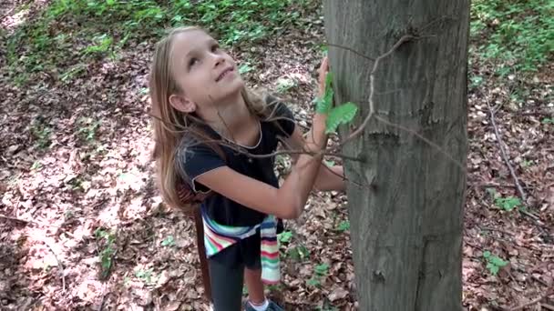 Niño en el bosque, Niño jugando en la naturaleza, Niña en aventura al aire libre detrás de un árbol — Vídeos de Stock