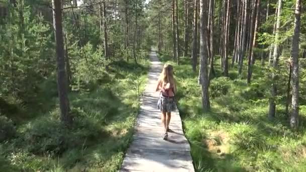 Дитина гуляє в лісі, дитина на відкритому повітрі Природа, дівчина грає в кемпінгу Пригоди — стокове відео