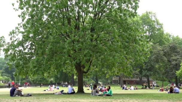 Λονδίνο James Park, άνθρωποι τουρίστες χαλαρωτικό ξεκουράζεται σε γρασίδι στο πικνίκ — Αρχείο Βίντεο