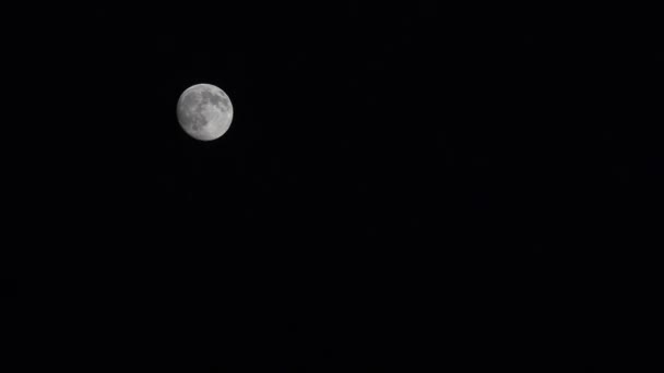 Vollmond steigt in Wolken am Himmel in der Nacht, Ansicht Mondlicht, Abendhintergrund — Stockvideo