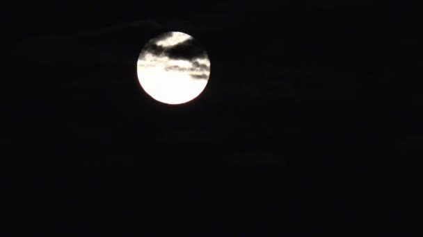 Full Moon Rises in Clouds on Sky in Night, View Moon Light, Evening Background — Stock Video