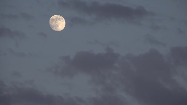 Full Moon Rises in Clouds Crepuscular Sky, Dusk Light View, Evening Background — Stock Video