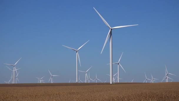 Windmühlen, Windräder, Landwirtschaft Feldgeneratorleistung, Elektrizität — Stockvideo