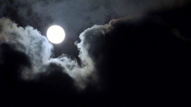 Full Moon Rises in Clouds on Sky in Night, View Moon Light, Evening Timelapse — Stock Video