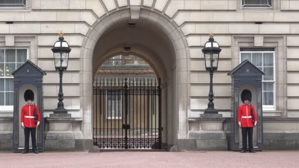 Londra Buckingham Sarayı, Silahlı İngiliz Muhafız Yürüyüş ve Koruma — Stok video