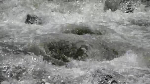 Fluss Bach nach Sturm, Gebirgsbach Bach Wasser kristalline saubere Quelle — Stockvideo