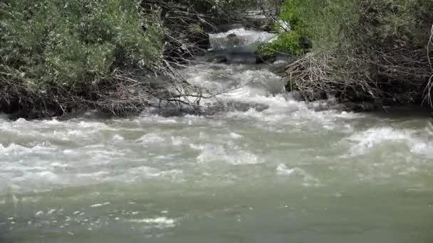 Мутная река в потопе, наводнение Рейна, шторм, наводнение, кальций — стоковое видео