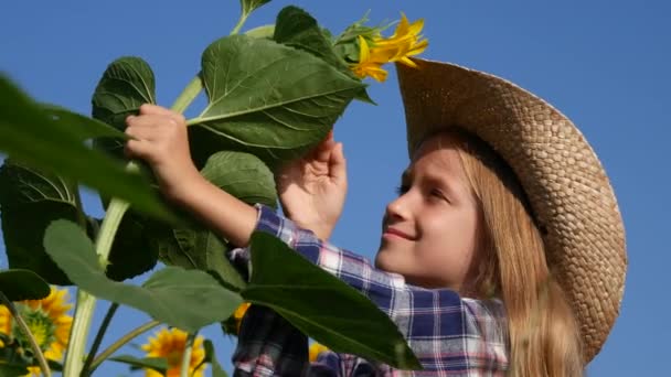 Niño agricultor en campo de girasol, niña que estudia jugando en la cosecha agraria 4K — Vídeos de Stock