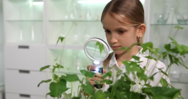 Student Kid Studying Working on Science Project, Siewki sadzenia dzieci w Laboratorium Biologii Szkół, Eksperymenty rolnicze w klasie — Wideo stockowe
