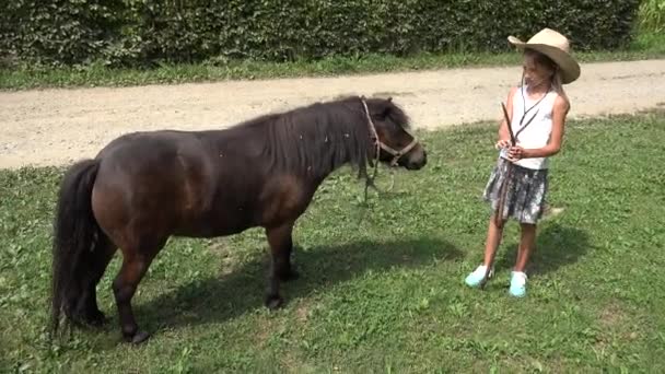 Boer Kid op zoek naar een grazende pony paard, Cowboy Kind spelen Outdoor in de natuur, weiden 4K — Stockvideo