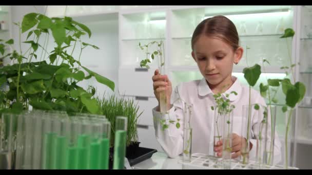 Estudiante Estudiando Trabajo Proyecto Ciencia Aprendizaje Infantil Plantando Plántulas Laboratorio — Vídeo de stock