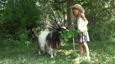 Avluda Keçi Besleyen Çocuk, Çiftçi Kovboy Çocuk Tarlada Hayvanları Pastalıyor, Bahçede Hayvanlı Kız