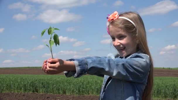 Mãos de criança plantando no campo da agricultura, criança com mudas de vegetais, menina loira ao ar livre no campo — Vídeo de Stock