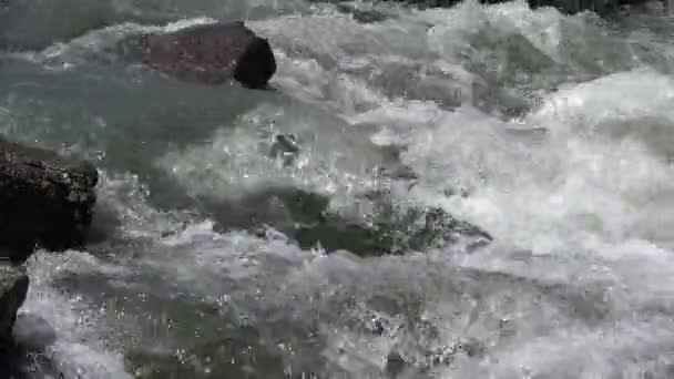 洪水中的浑河，雨中的洪水，风暴中的洪水，暴风雨中的洪水，洪水中的灾难 — 图库视频影像