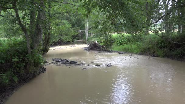 Río Muddy después de un día de tormenta en las montañas, arroyo en el día de lluvia, arroyo de primavera, piedras, rocas, vista de la naturaleza — Vídeos de Stock