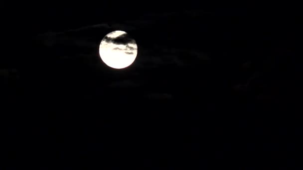 Повний місяць здіймається в хмарах на небі вночі, дивиться місячне світло, вечірня астрологія — стокове відео