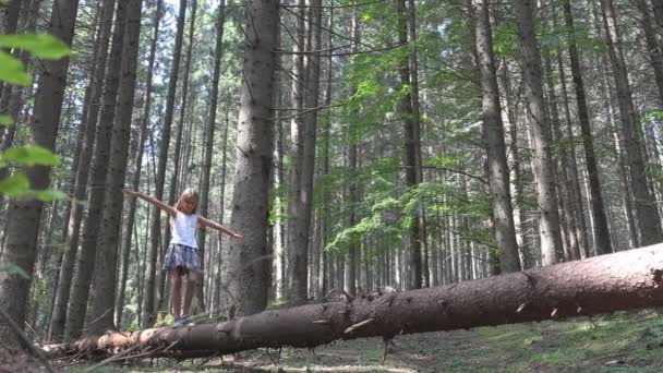 Kid in Forest Walking Tree Log, Criança brincando no parque, menina de aventura turística em Acampar nas montanhas — Vídeo de Stock