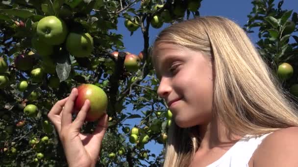 Elma yiyen çocuk, meyve bahçesindeki çocuk, ağaçtaki meyvelerin tadına bakan çocuk, kırsal kesimdeki köyde çiftçi kız. — Stok video