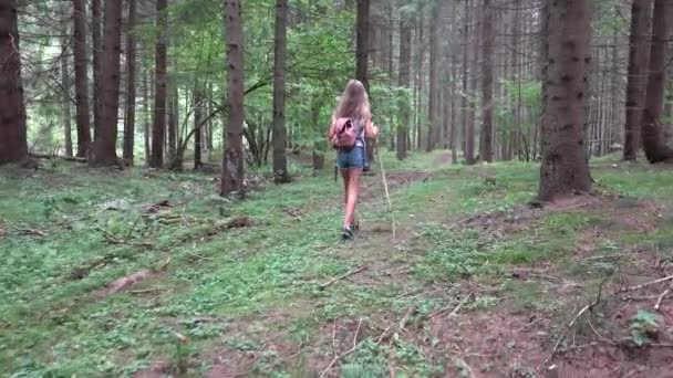 在森林里散步的孩子，在山径露营的孩子，在森林冒险中玩耍的金发女孩，暑假 — 图库视频影像