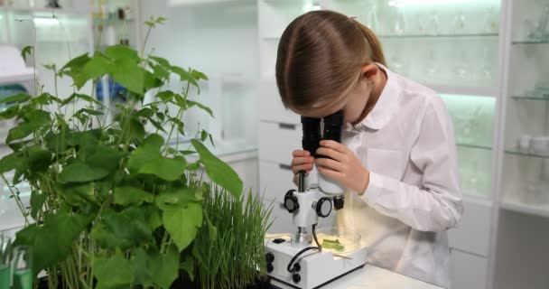 Kid Studying Microbiology in School Laboratory, Student Child Learning Uses Microscope in Classroom Lab, Edukacja dla dzieci — Wideo stockowe