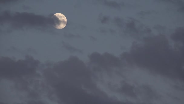 Luna piena sorge in nuvole sul cielo crepuscolare, Vista luce crepuscolare, Astrologia della sera, Timelapse — Video Stock