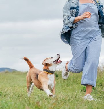 Mutlu gülümseyen av köpeği koşuyor ve onunla birlikte koşan sahibinin dişisinin gözlerine bakıyor. Doğada çayırlarda hayvanlarla yürümek, sağlıklı aktif insanlar yaşam tarzı imajı..