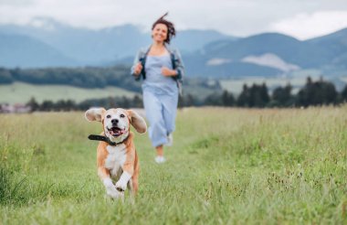 Mutlu gülümseyen köpek portresi. Dili dışarıda ve sahibinin dişisi çim yolunda koşuyor. Doğada evcil hayvanlarla yürümek, mutlu sağlıklı aktif insanlar yaşam tarzı imajı..