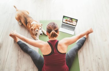 Formda, sağlıklı bir kadının üst görüntüsü Upavistha Konasana pozunda mindere oturur, nefes egzersizleri yapar, dizüstü bilgisayarda yoga dersleri izler. Sırada av köpeği var..