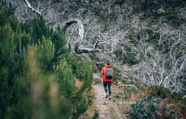 Portekiz Madeira adasında Pico do Arieiro 'dan Pico do Pico Ruivo' ya ünlü dağ patikasından yürürken beyaz ormanın tadını çıkaran genç bir bayan sırt çantası. Dünya turu konsept resmi