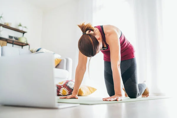 Ajuste Mulher Saudável Desportiva Tapete Cat Majaryasana Pose Fazendo Exercícios — Fotografia de Stock