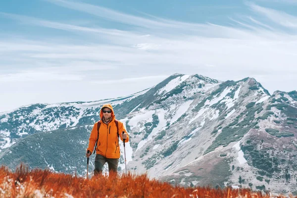 斯洛伐克 身着鲜艳的橙色夹克背包客 在红色蓝莓田边行走 脚踏有山脉背景的远足杆 活跃分子与欧洲登山旅游概念形象 — 图库照片