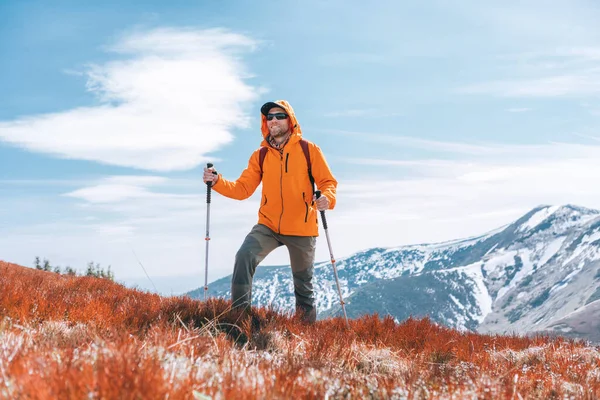 Dressed Bright Orange Jacket Backpacker Walking Red Blueberry Field Using — Stock Photo, Image