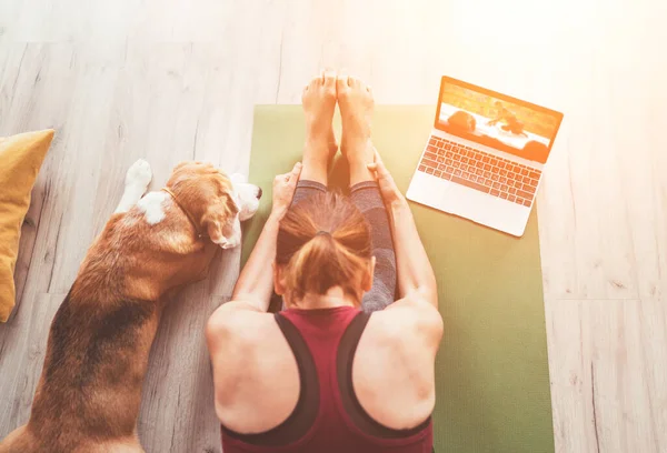 身材匀称的健康女性头像坐在垫子上 摆姿势 做呼吸练习 在笔记本电脑上看在线瑜伽课 她的小猎犬紧跟在地板上 — 图库照片