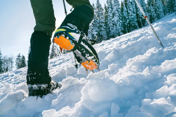 背景に雪のスプルースを持つクランポンやスノーゲーターでマウンテンブーツのショットを閉じます 高い山の強打ブーツでハード雪の上の頂上に登る — ストック写真