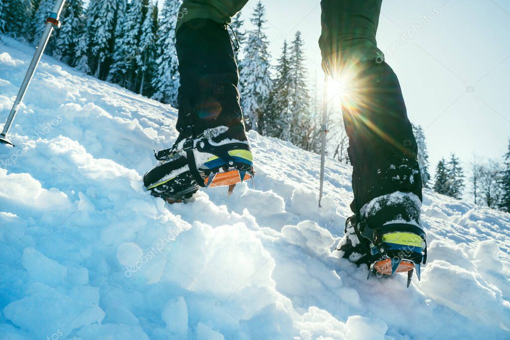 Close up shot of mountain boots with crampons and snow gaiters with backlight sun beams and snowy spruces on background . High mountaineer pounding boots in hard snow ascending UP on the summit. 