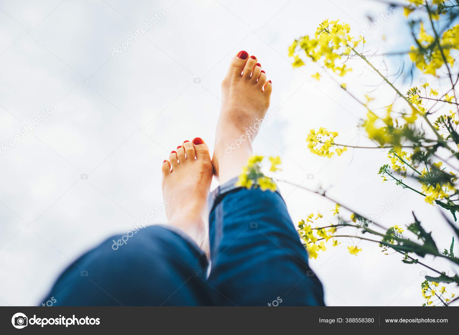 Happy Female Lying Deep Yellow Flowers Meadow Bright Sunny Day Stock Photo  by ©solovyova 388558380