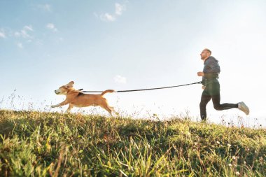 Canicross egzersizleri. Adam av köpeğiyle koşuyor. Evcil hayvanlarla açık hava spor aktivitesi