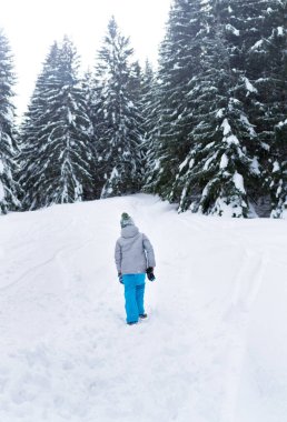 Küçük çocuk kış ormanı manzarasında yürürken