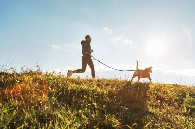 Canicross egzersizleri. İnsan güneşli bir sabahta av köpeğiyle koşar.