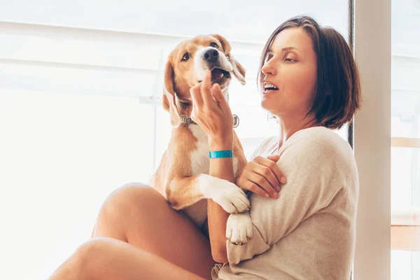 Beagle Dog Suo Proprietario Abbracciano Sulla Terrazza Soleggiata — Foto Stock
