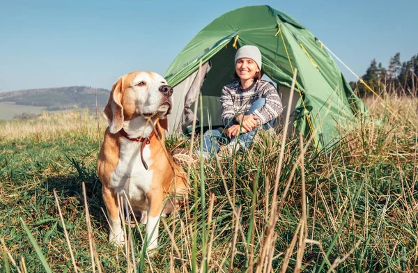 Köpekli Kadın Sabah Turistik Kamp Çadırında Buluşuyor — Stok fotoğraf