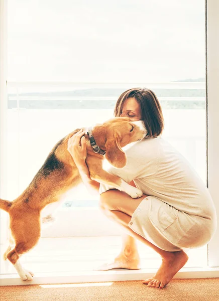 阳光灿烂的阳台上的温情场面 小猎犬吻着主人 宠物在家庭的概念形象 — 图库照片