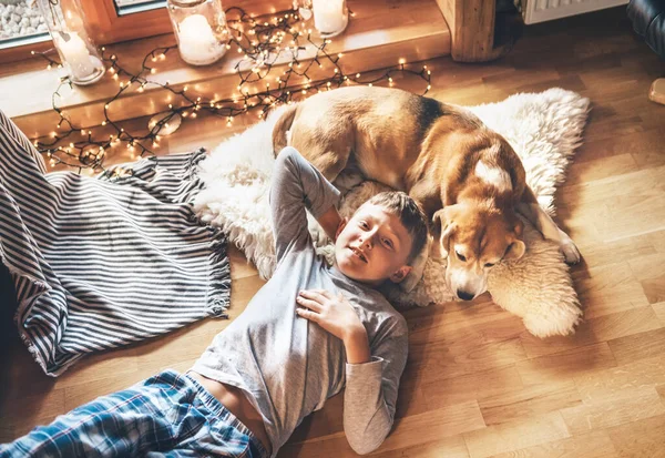 Niño Acostado Suelo Sonriendo Cerca Deslizar Perro Beagle Piel Oveja —  Fotos de Stock