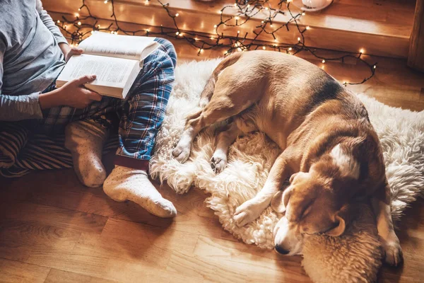 居心地の良い家庭的な雰囲気の中で羊の皮に彼のビーグル犬を滑らせる近くの床の上に少年読書本 居心地の良い家庭のコンセプトイメージの静かな瞬間 — ストック写真