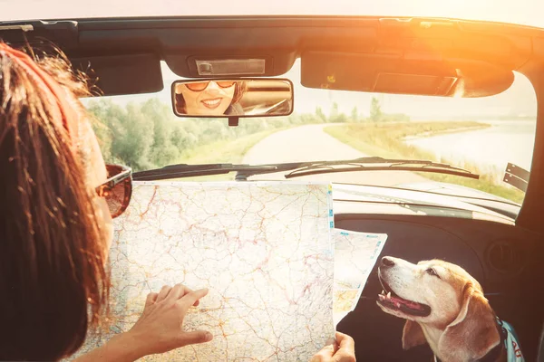 Mujer Viajando Con Encantador Perro Beagle Coche Descapotable Itinerario Planificación —  Fotos de Stock