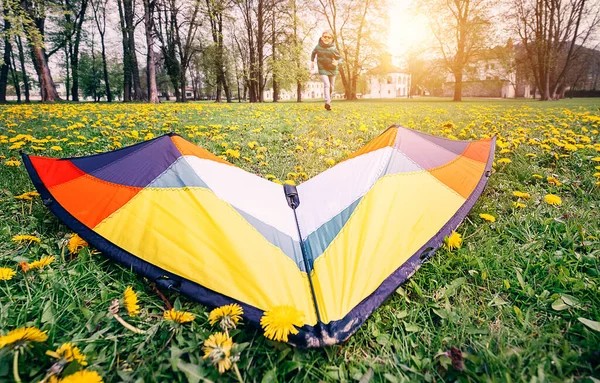 明亮的风筝在绿色的草地上 — 图库照片