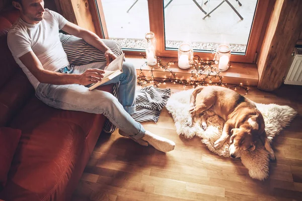 Homem Livro Sentado Sofá Acolhedor Seu Cão Beagle Dorme Pele — Fotografia de Stock