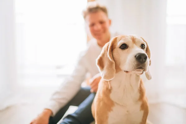 Beagle Köpek Portresi Çtenlikle Gülen Bir Genç Adam Yerde Oturuyor — Stok fotoğraf