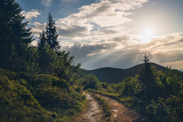 Kirli Dağ Yolu Ağaçların Etrafını Akşam Güneşinin Işığıyla Çevrili Avrupa — Stok fotoğraf